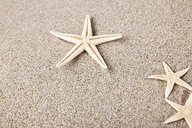 猛鬼大厦前作《都市傳說外賣》Steam页面 发售日待定